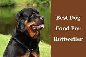 Best Dog Foods for Rottweilers